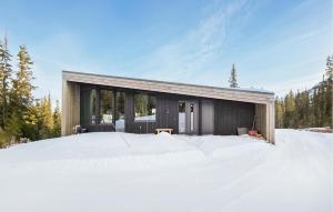 Awesome Home In Rjukan With Sauna