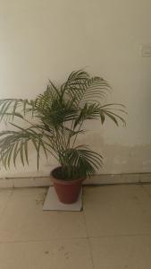 Viaan Dream Haven Homestay