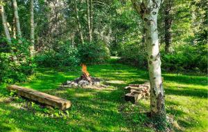 Stunning Home In Frørup With Wifi