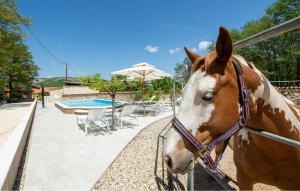 Cozy Home In Maovice With Sauna