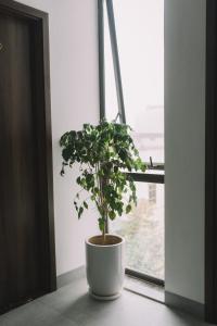 Tamcoc TK Hotel & Homestay