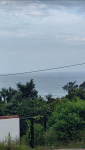 Jennys wellness center