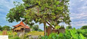 A Mango Tree House with a private swimming pool