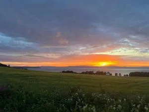 Unique guest house with amazing views! - Haugan