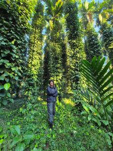 SafarnamaStays Homestay & Camping Warichora Meghalaya