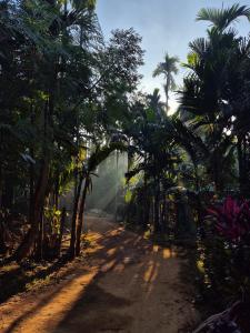SafarnamaStays Homestay & Camping Warichora Meghalaya
