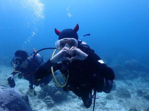 AoJing Diving Resort澳鲸潜水温泉店