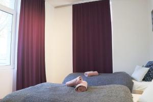 Le Coquet, bord de leau