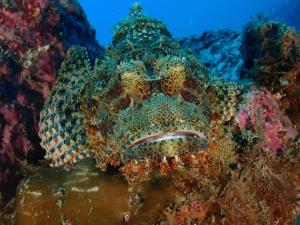 AoJing Diving Resort澳鲸潜水温泉店