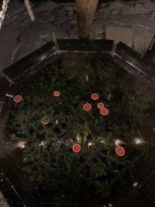 Котедж "У Мадяра"