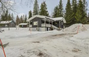 Awesome Home In Sälen With Sauna - Lima