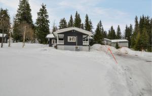 Awesome Home In Sälen With Sauna