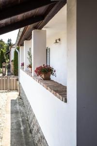 VándorLÓ Vendégház