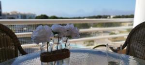 Estrela do Vau 319 BY SWEET HOME