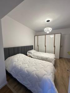 Heart of Tirana A Cozy Home for City Explorers