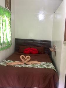 Sobral Rice Terraces View