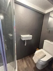 Bon yr Llew, Coity Bach - Scethrog