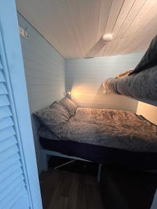 Bon yr Llew, Coity Bach