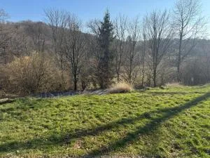 Ferienwohnung Thiel - Söntgerath