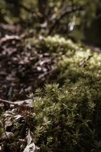 APARTMENTS mit PRIVAT SPA - Haus LuKa - Gebüg