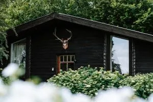 Le chalet Sud - 韦尔维耶