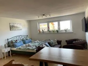 Moderne Einrichtung Disney plus und prime Video im Allgäu - Moosbach