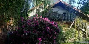 Landidyll - Hepstedt