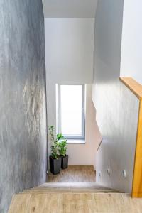 Apartmán ZA-KA 4 ubytování Litovel