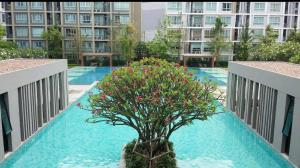 Condo resort new & cozy room amazing swimming pool