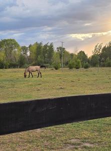 El Mirador, Casa de campo, Valle de Uco