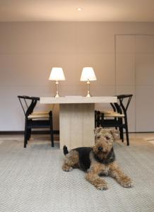 Comfort and Style in Zona G Pet Friendly