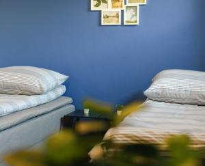 Fotonhouse noclegi Bielsko Biała