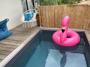 Appartements Studio cosy & piscine privee : Appartement 1 Chambre