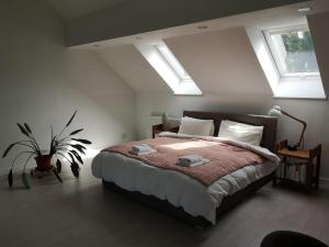 Gorgeous Loft in Town Centre