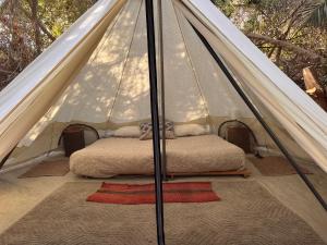 Glamping El Arbol - Naturaleza y Mar