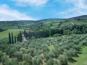La Tesa Country House With Pool S. Gimignano