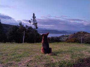 Camping Finca Entre Montañas