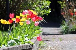 Cole's Bay Vacation Retreat Cole's Bay Suite