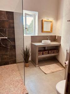 "ENTRE LA VIGNE et LOLIVIER"