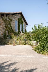 B&B / Chambres d'hotes Le Mas des Oliviers Nimes : photos des chambres