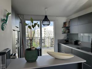 Appartements Spacious apartment - gates of paris : photos des chambres