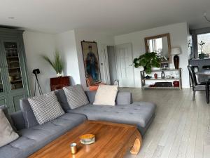 Spacious apartment - gates of paris