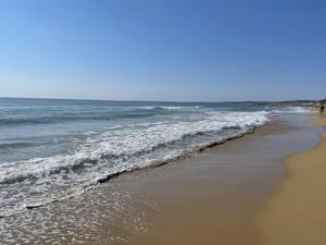 Endless Summer Seaview