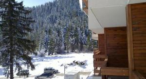 Пампорово студио Милка в хотел Росица