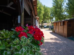 Massa Marina Camping