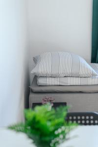 Fotonhouse noclegi Bielsko Biała