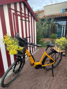 Maisons de vacances LES MIMOSAS : photos des chambres