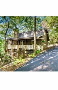 Bears Lair Cabin in Big Canoe Georgia - داوسونفيل