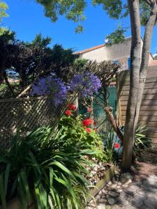 Maisons de vacances LES MIMOSAS : photos des chambres