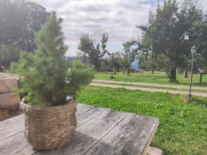 OIDE STUBN am Grandsberg